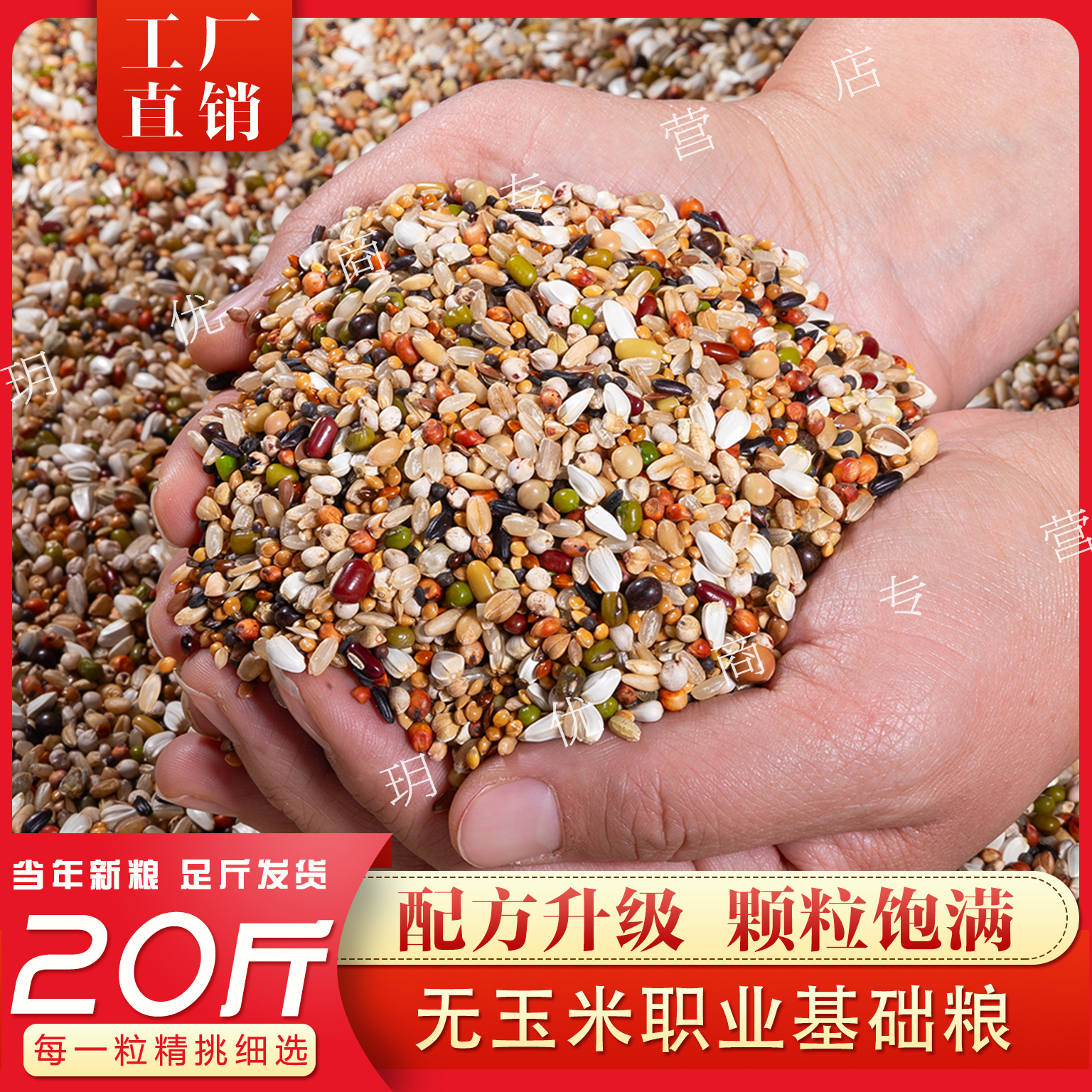 职业基础粮无玉米营养饲料鸽粮营养料鸟食信鸽观赏鸽饲料鸽料20斤