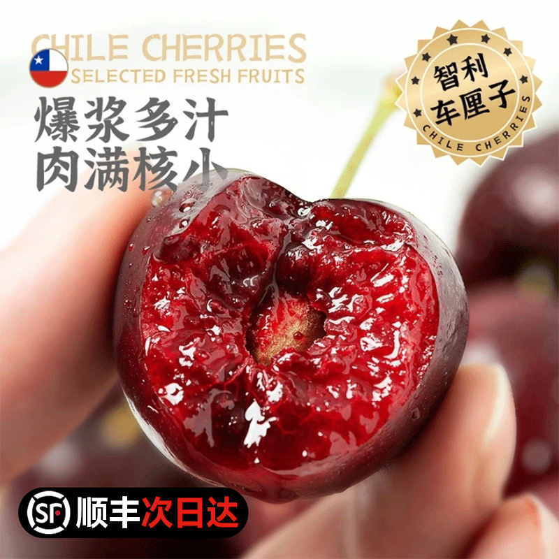 S1【顺丰次日达】智利进口车厘子2J-5J应季新鲜水果大樱桃5斤空运内附果径卡桑提娜樱桃智利共和国
