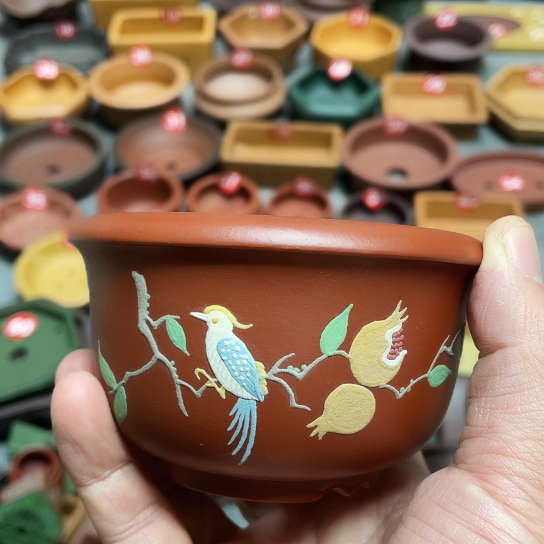 紫砂小盆8*5cmmmmmm