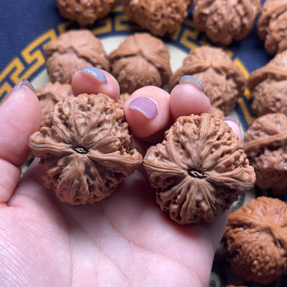 指***林核桃高端小众黑金刚