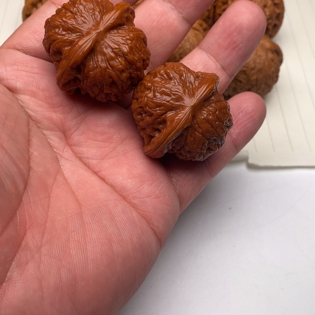 白狮子等动物化石的