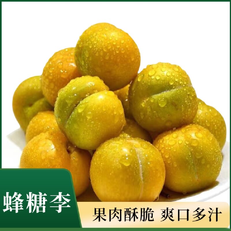 【蜂糖李】正宗贵州六马蜂糖李爆甜【带箱5斤-净重4.5斤-60颗中大果】今天拍明天到李子同城送贵州省