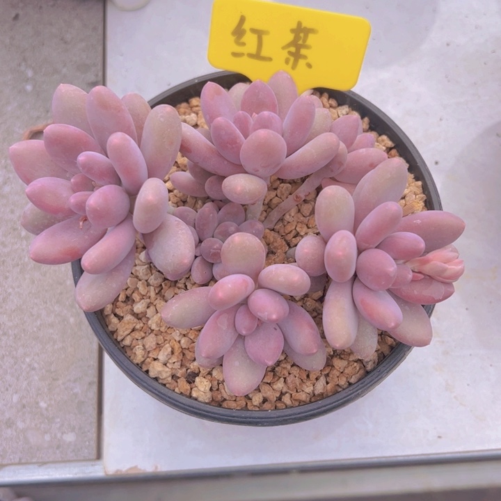 健健康康平平安安