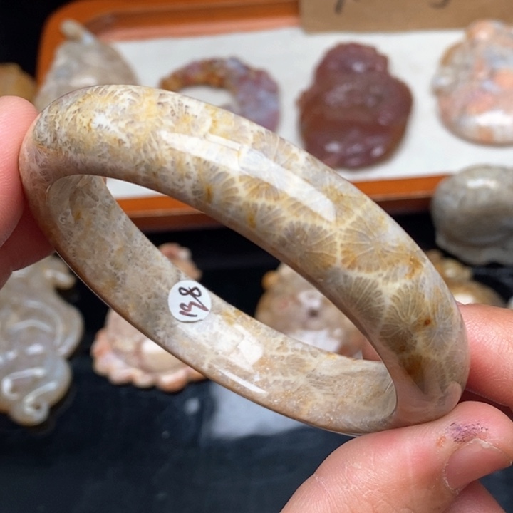 硅化珊瑚（珊瑚玉）颈饰未镶嵌58.4