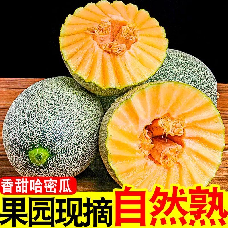 H【爆甜】山东哈密瓜新鲜头茬蜜瓜当季新鲜孕妇水果哈密瓜整箱批发