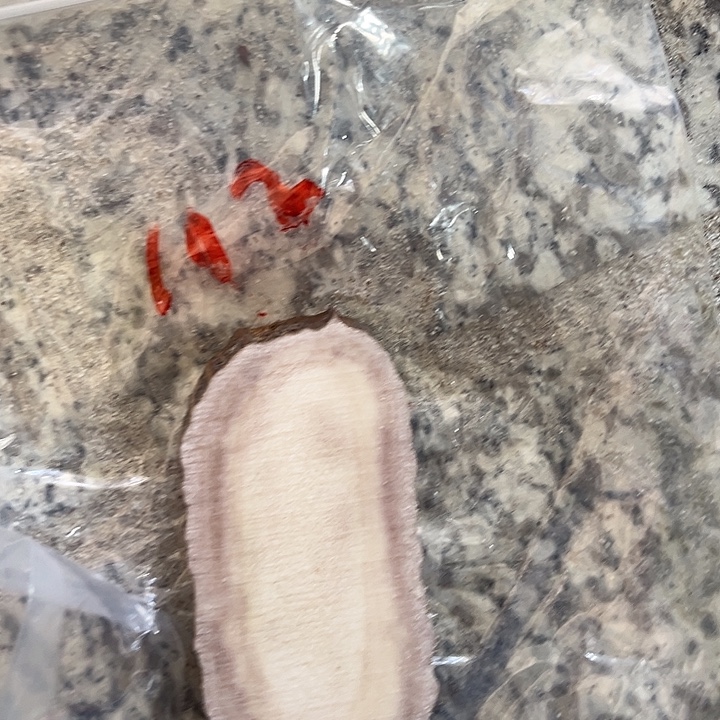 (***)布艺鹿角鹿角鹿角鹿角落