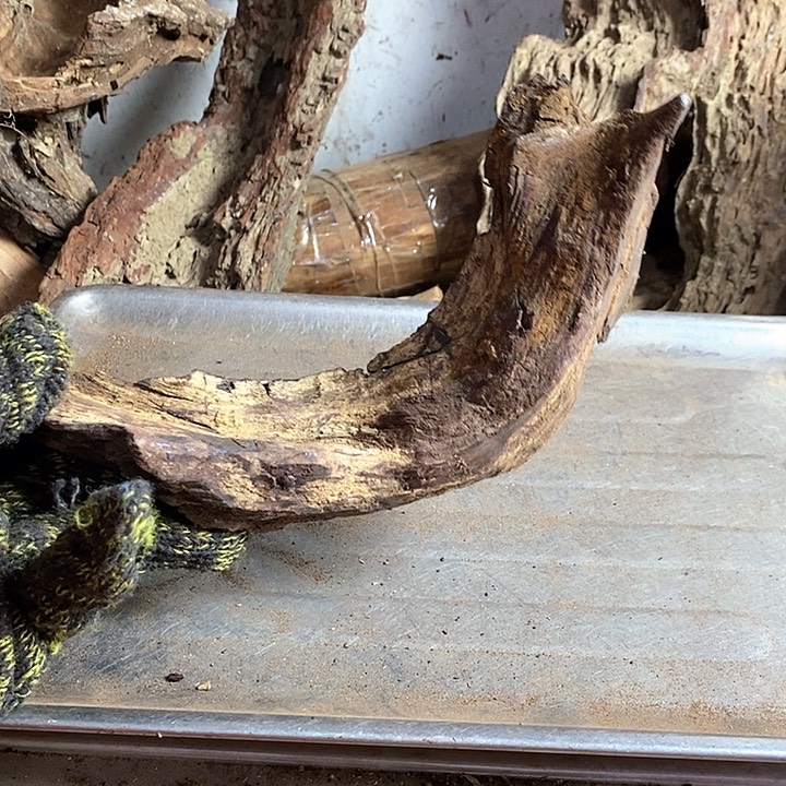 黄花梨/降香黄檀?*海南黄花梨