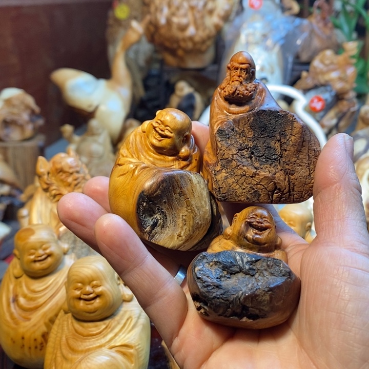 希***凸木1111111111111111111111