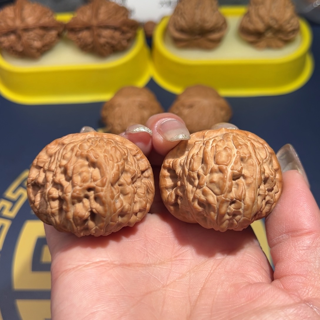 文玩核桃把件白狮子42.5