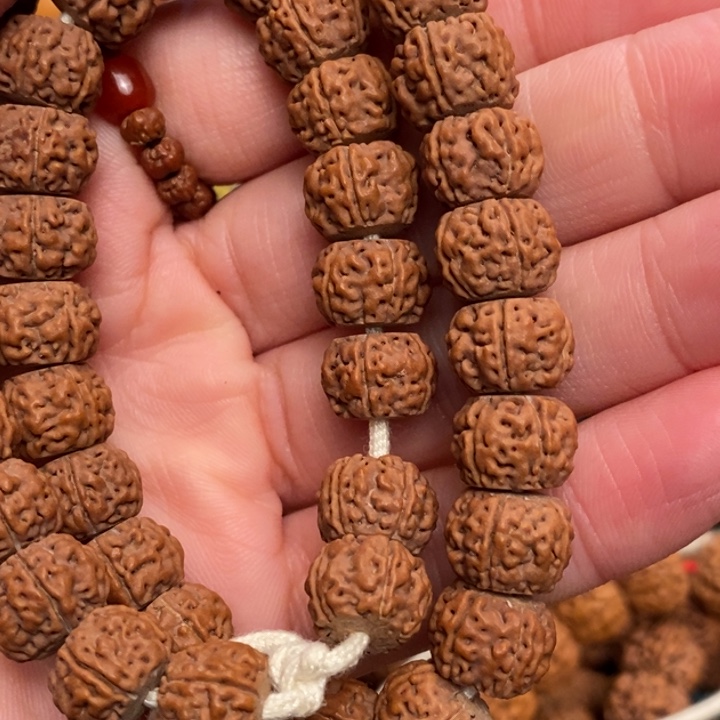 菩提是***叔纯血老树王