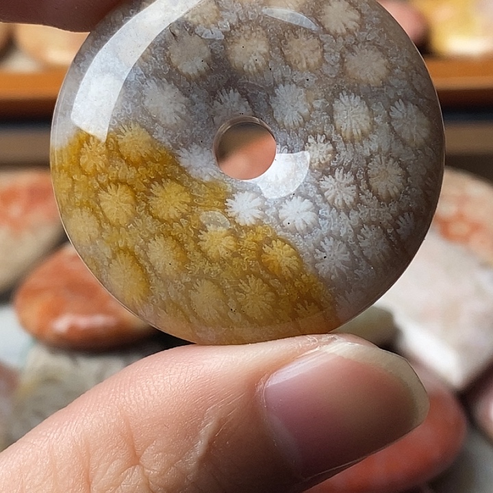 晴***儿硅化珊瑚未镶嵌颈饰