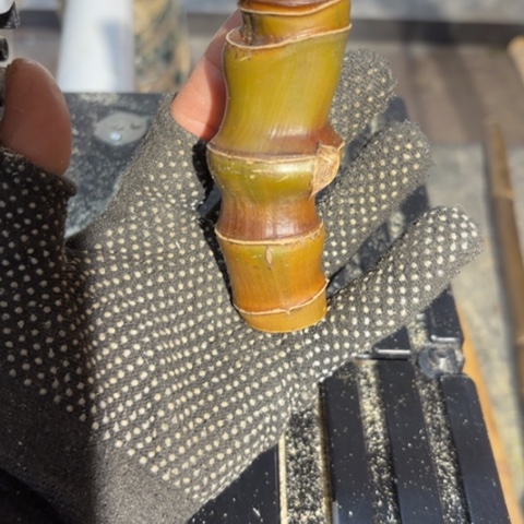 *****实心竹竹竹竹竹竹竹竹竹