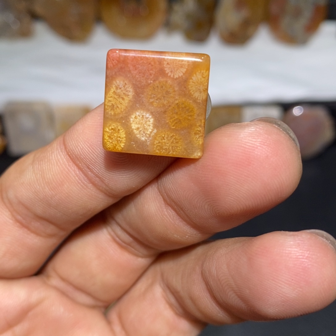 【闪购商品】硅化玉颈饰未镶嵌