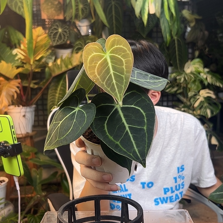 N***e完全开放一物一拍Q05