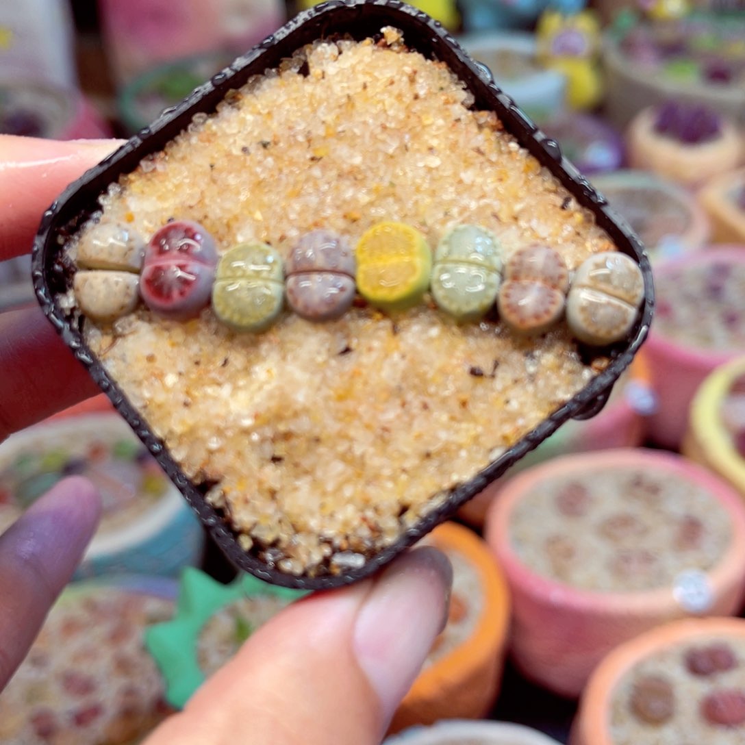 549.  0000000000000000