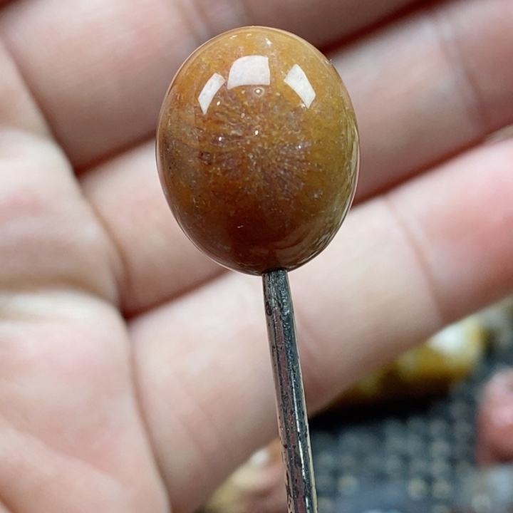 颈饰未镶嵌硅化珊瑚（珊瑚玉）小