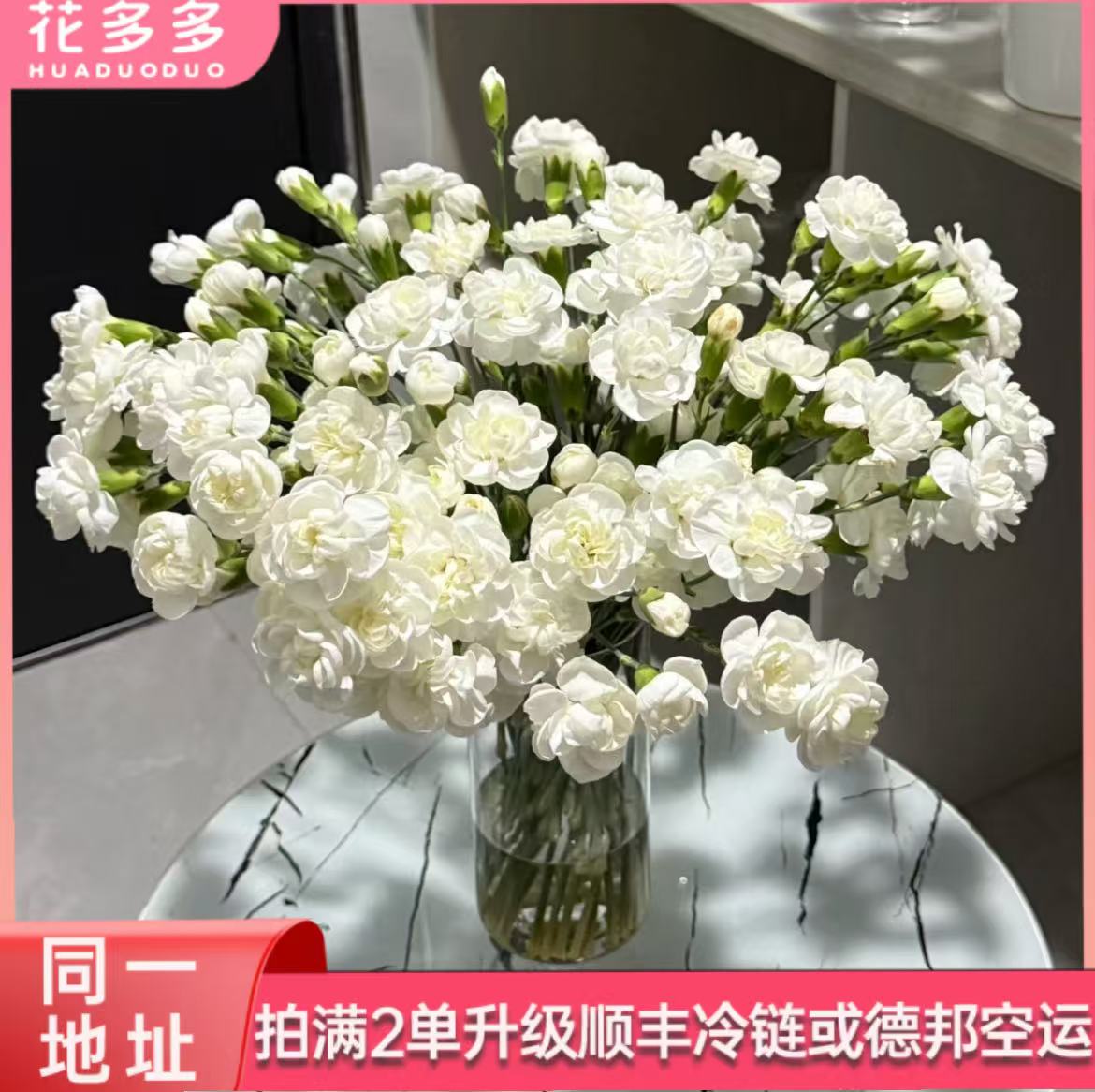 【白茉莉多丁】20支 同一地址拍满2单升级顺丰冷链三单发花瓶