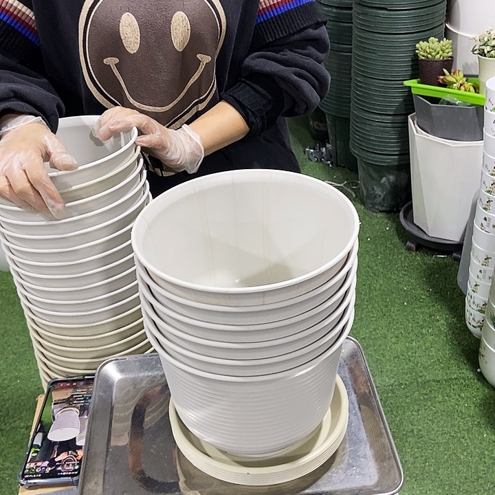 矮陶口21高15米色带拖6只微串色