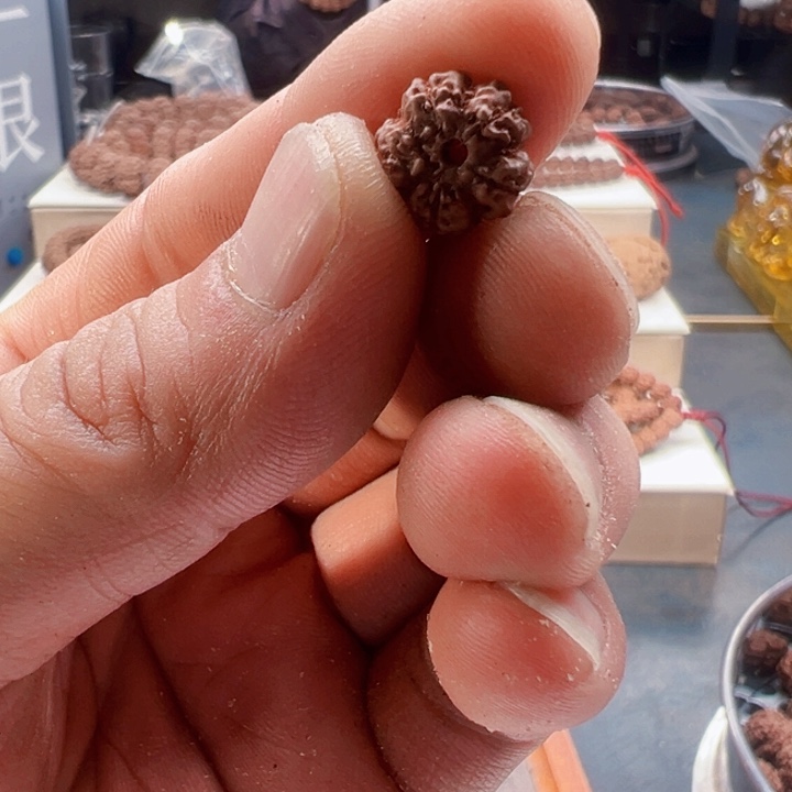 金刚菩提吊坠12尺寸原生态霸王花福利上