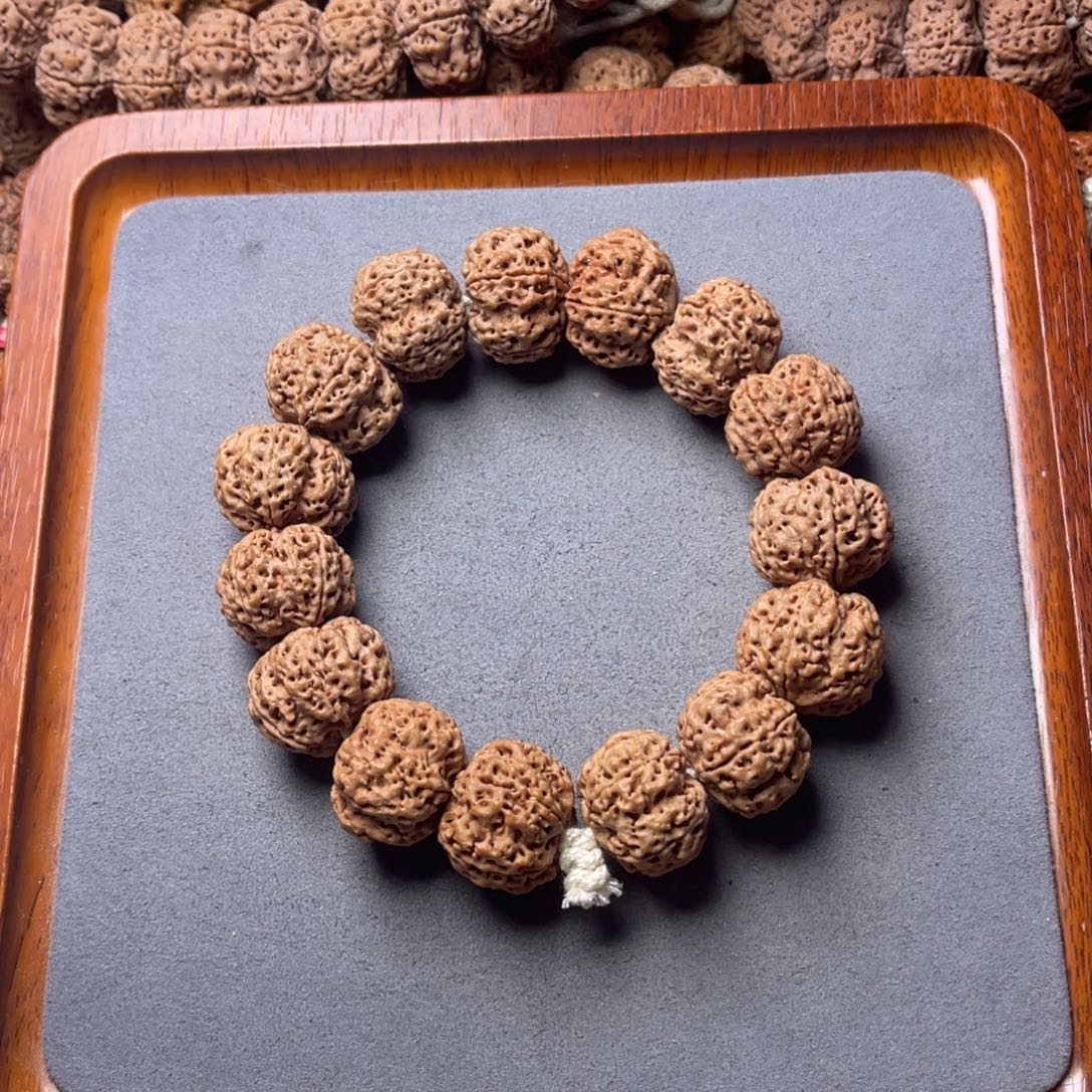 菩提籽类3号金刚菩提梅花双龙23