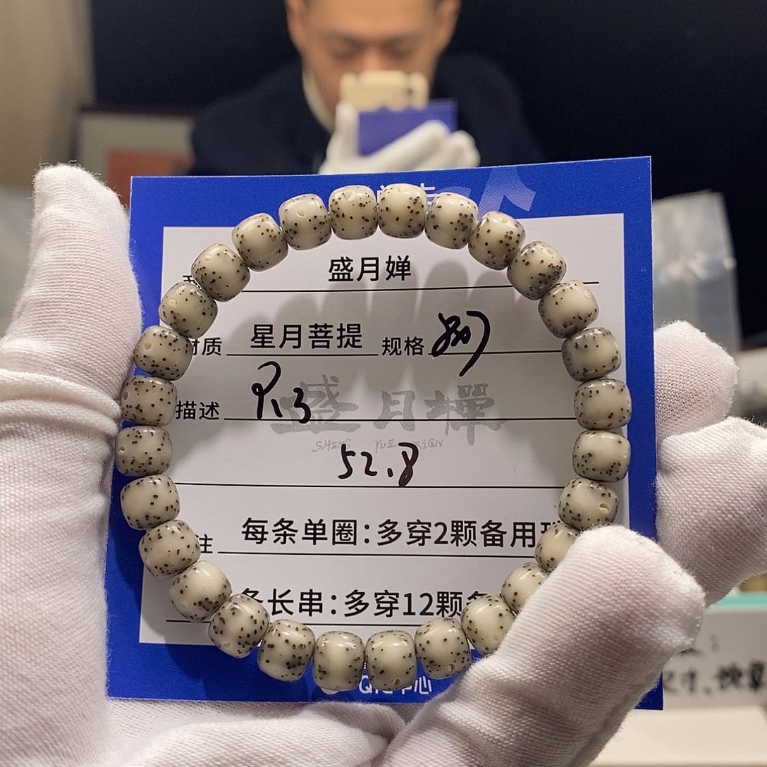 海南星月菩提海南星月菩提R3