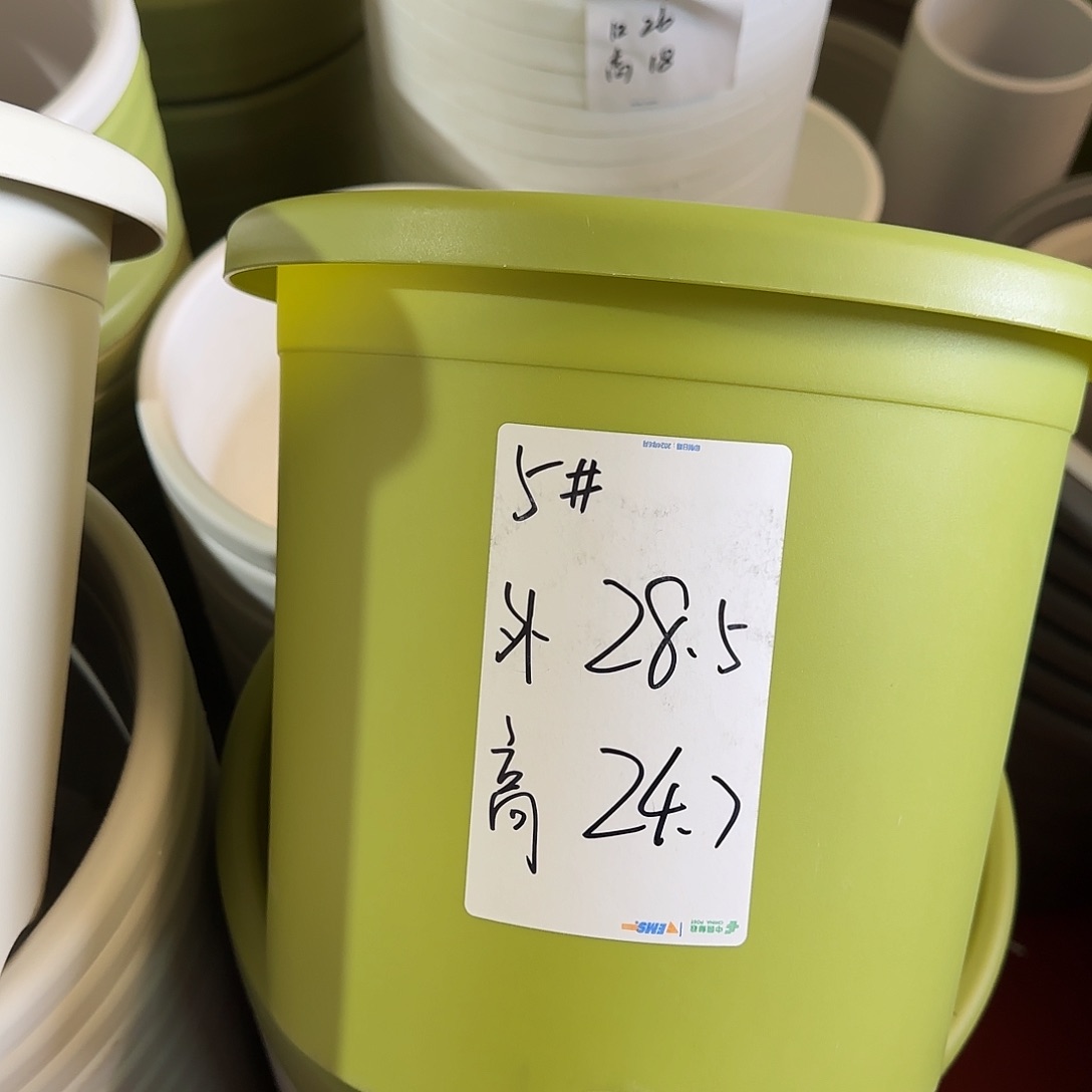 树脂四季5号带托6个果绿