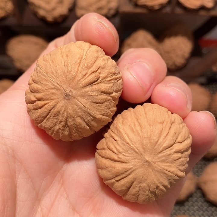 文玩核桃吊坠32尺小猴头核桃