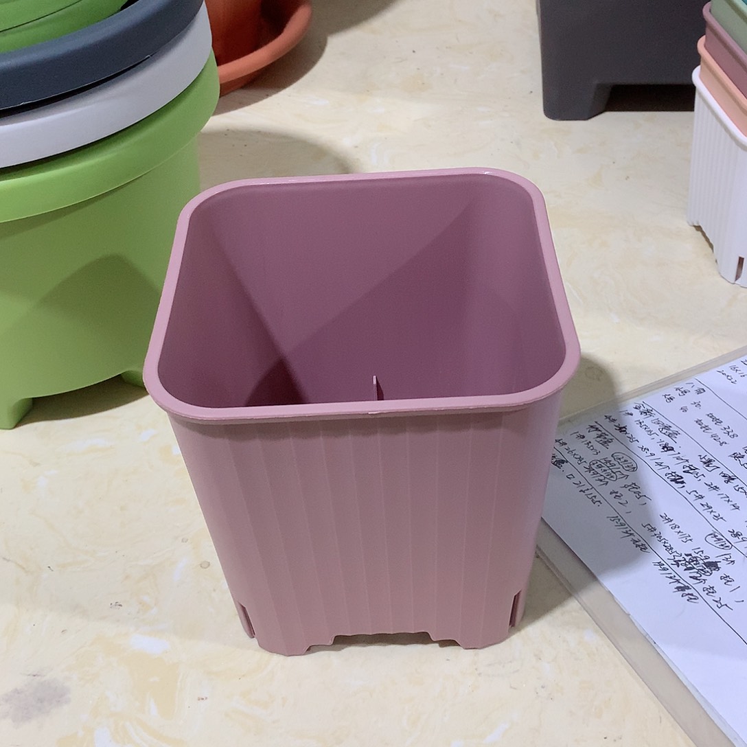 树脂多肉口14紫色5个无托