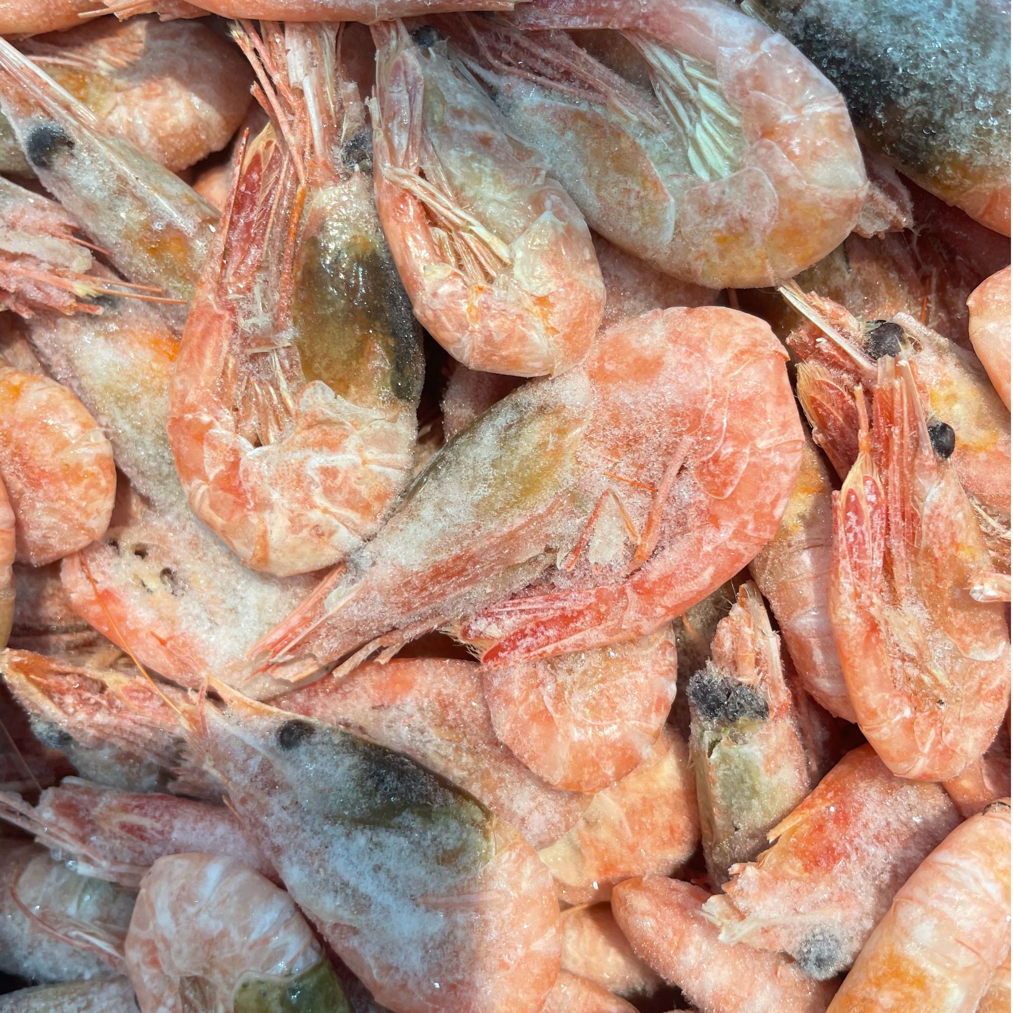 冰虾 1斤左右（海鲜）