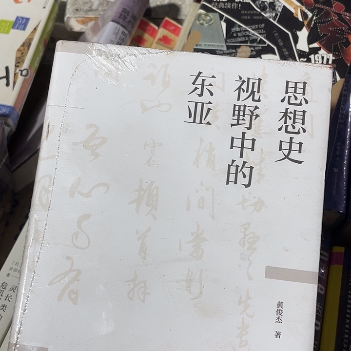 思想史视野中的东亚微瑕微瑕4