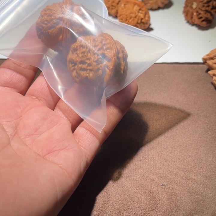 樊***慌精品白狮子39尺寸