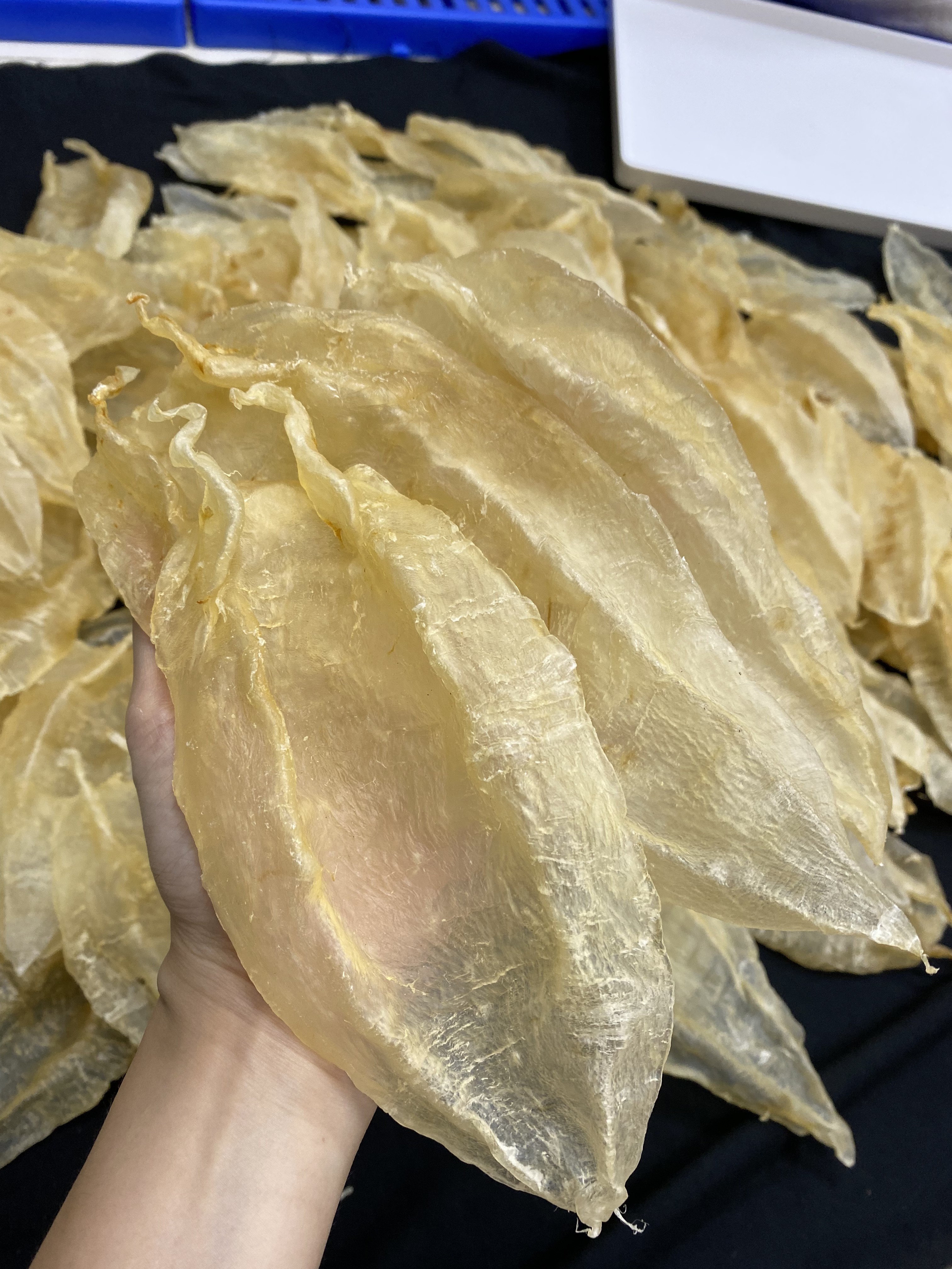 鱼胶  1～500g直播临时称重改价链接