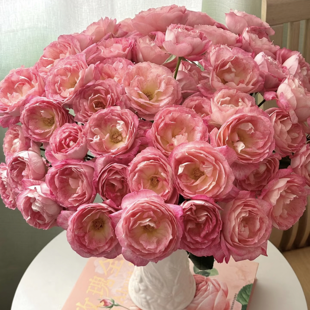 【九里花田】多头玫瑰美人醉-基地直发-一单普通快递两单顺丰