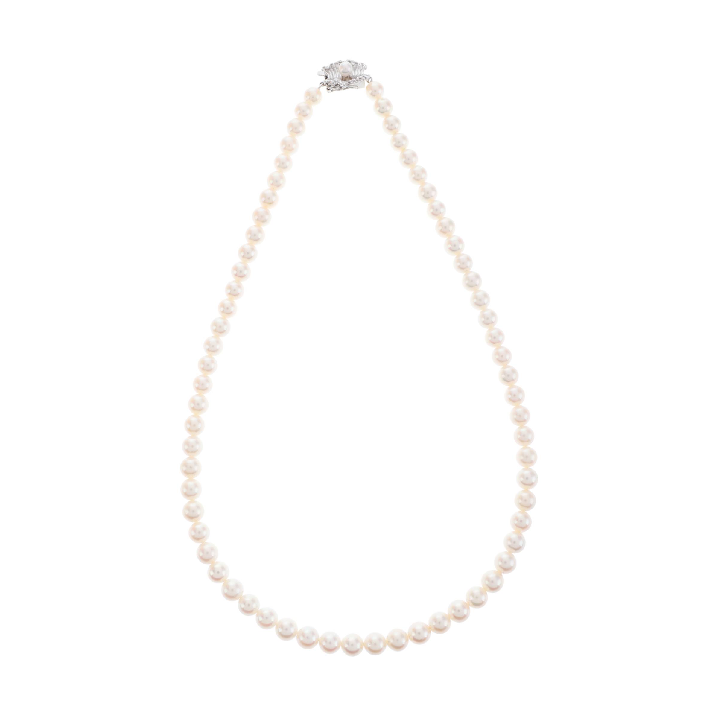 红布林/C1开箱/塔思琦/49930615/z/121497