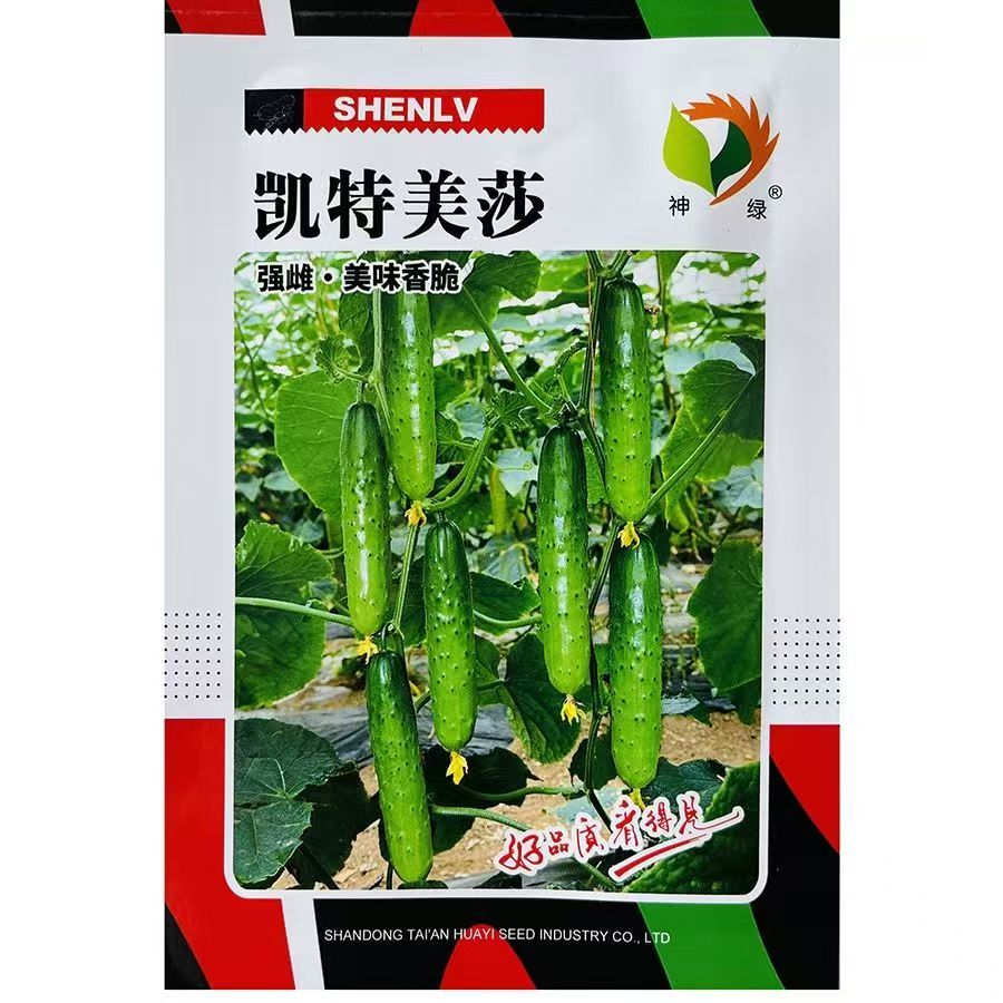 甜脆水果黄瓜种子强雌青皮绿肉黄瓜玉女黄春秋播种蔬菜种子