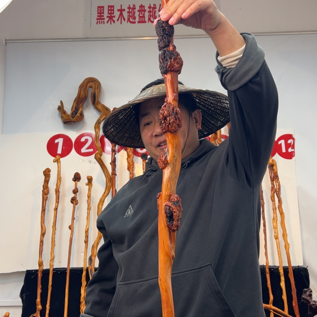 馨***）黑果木其他黑果木585