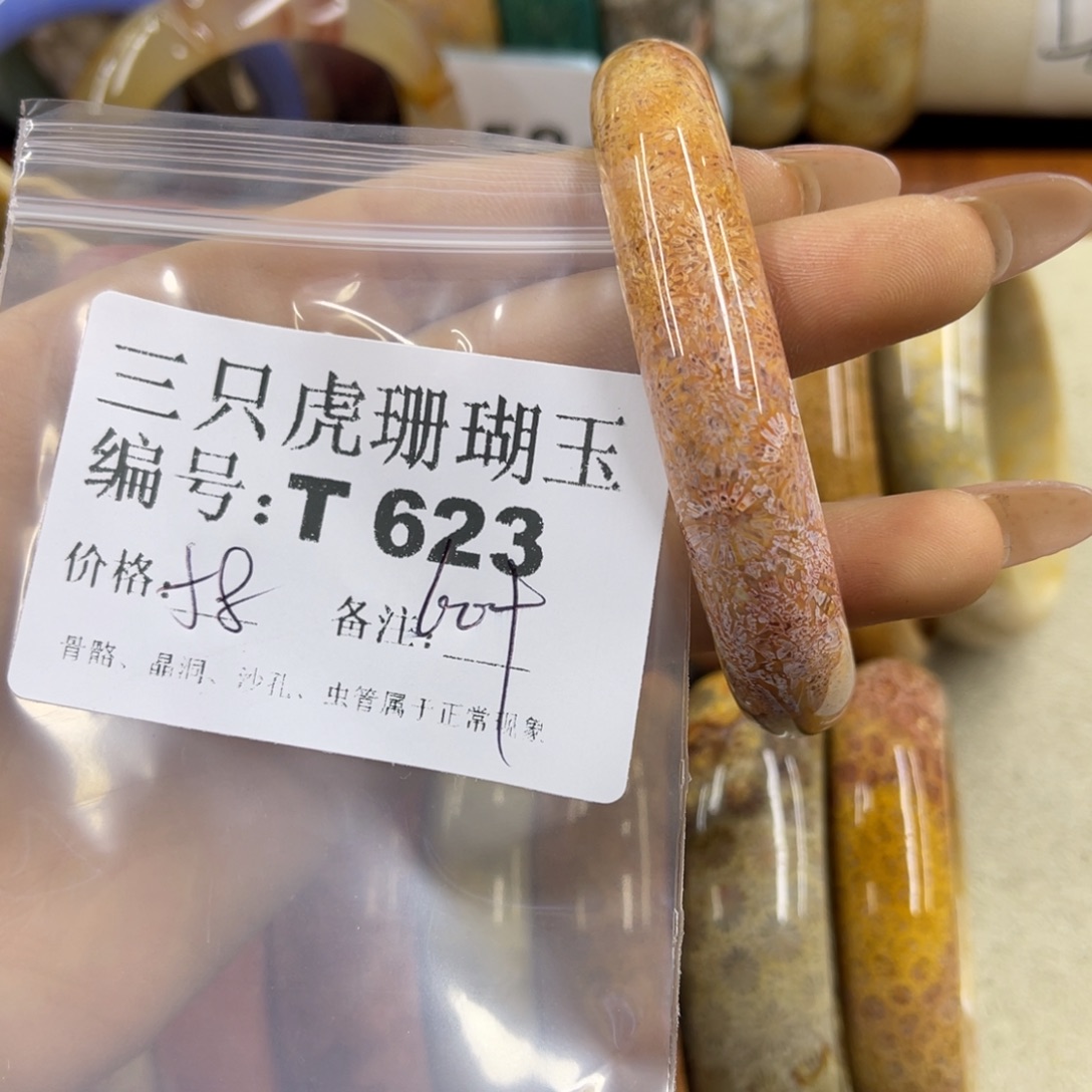 离***尘硅化珊瑚（珊瑚玉）未镶嵌h