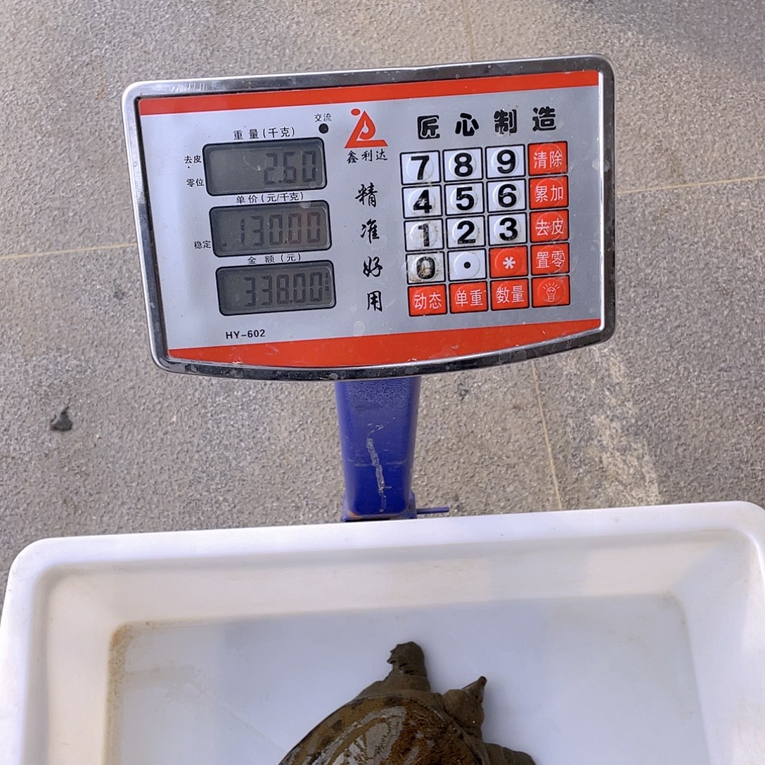 中国大陆12345678