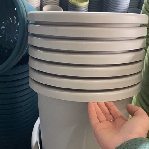 树脂特价5号6个无托灰白