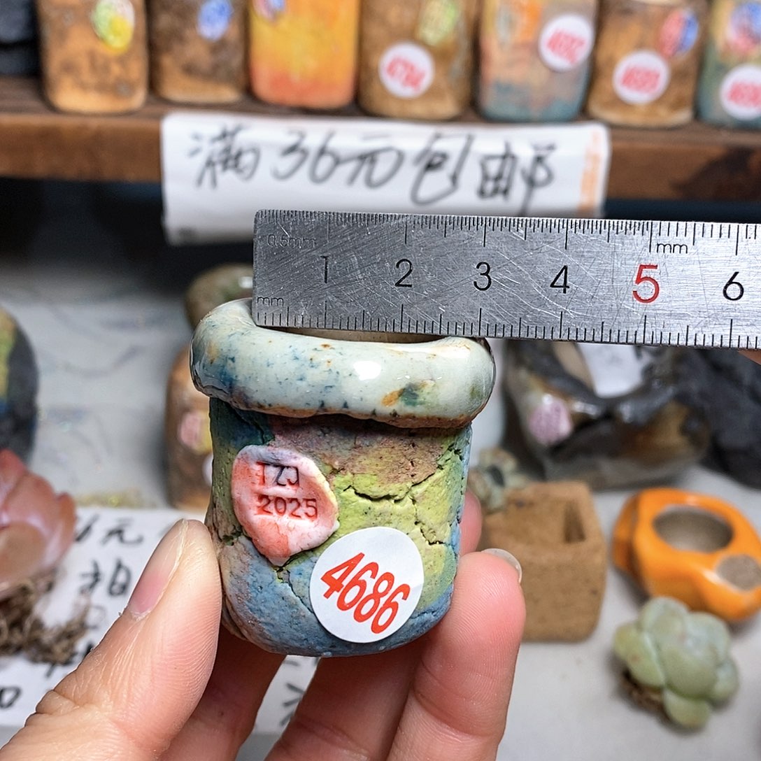 红陶拍5送一个小