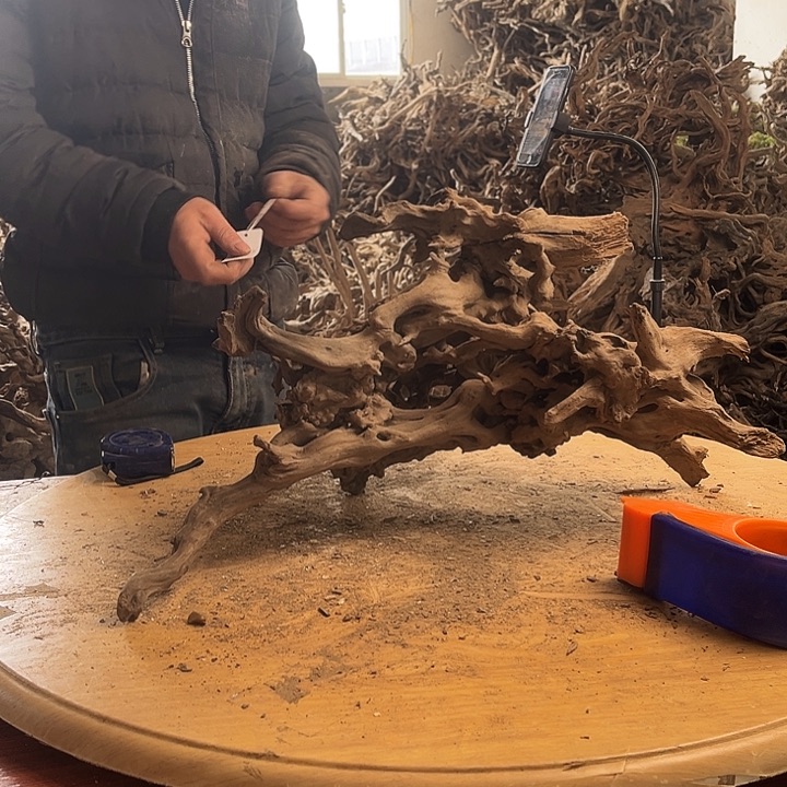 攜***涯木鱼缸造景。      190