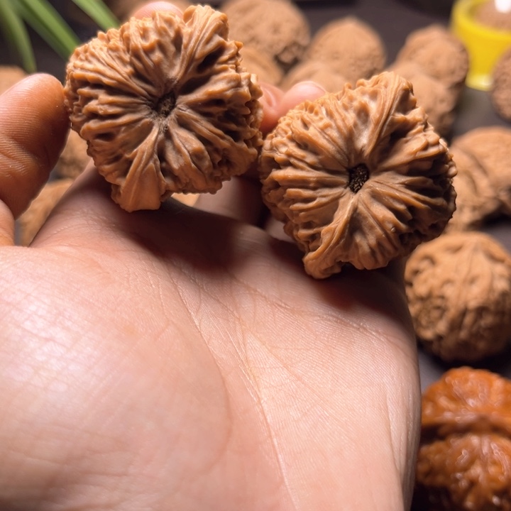 专****！南疆石南疆石南疆石42