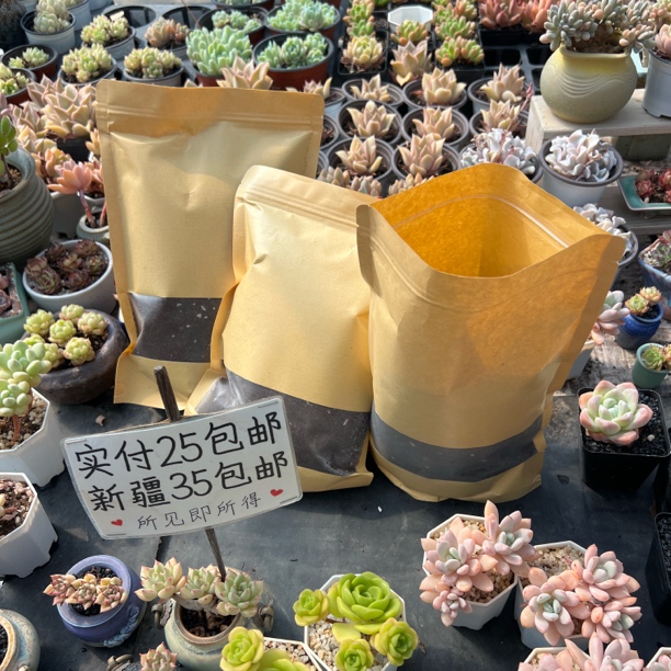 【萌肉团大棚自用土】多肉植物专用土通用土1kg控型控色土