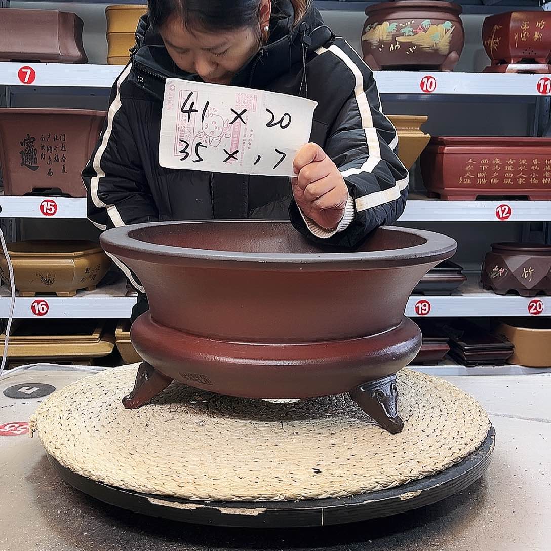 紫砂花盆紫砂花盆