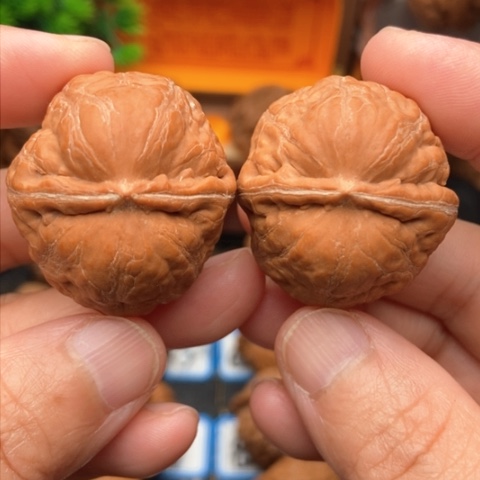 文玩核桃吊坠野蟾33全品