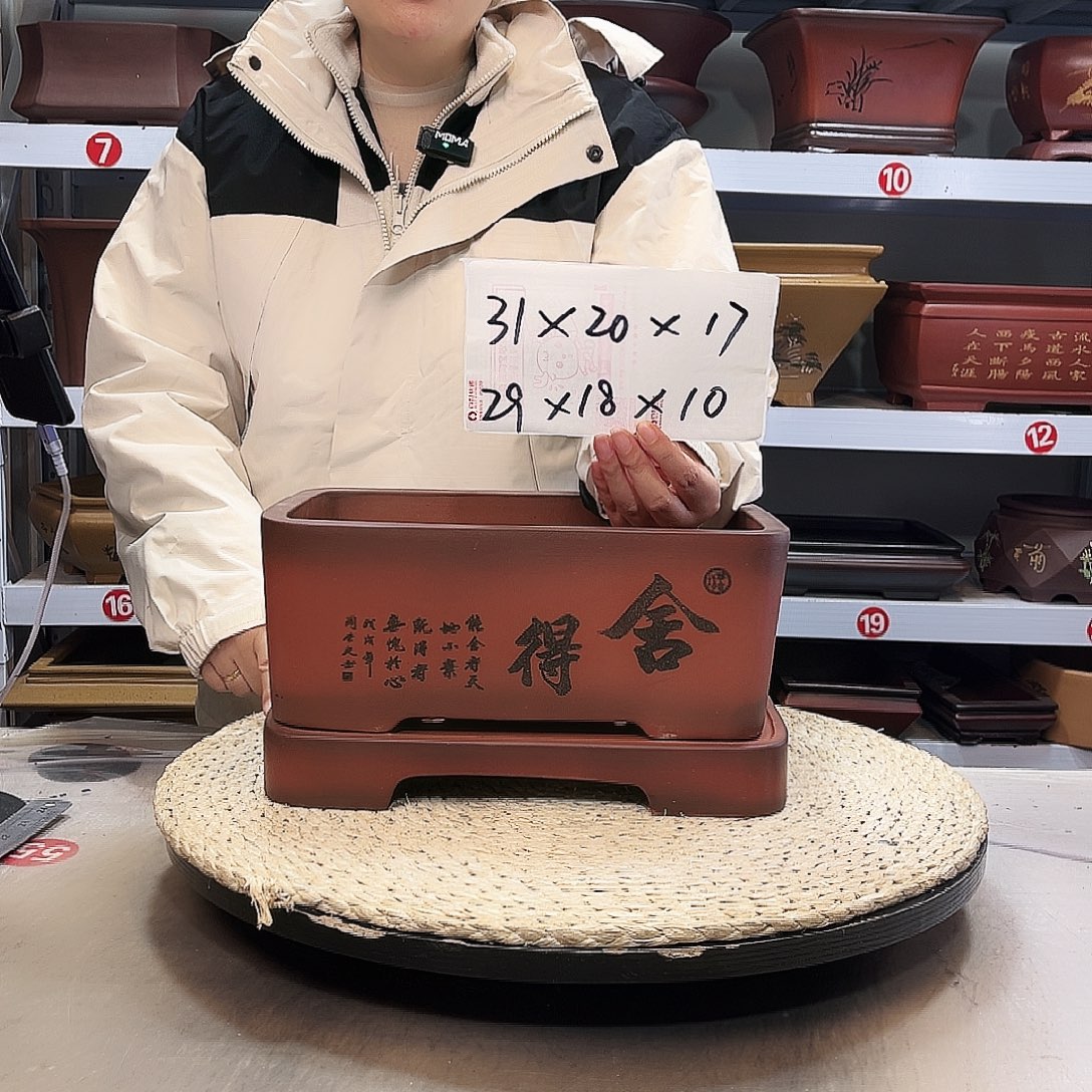 紫砂花盆紫砂花盆