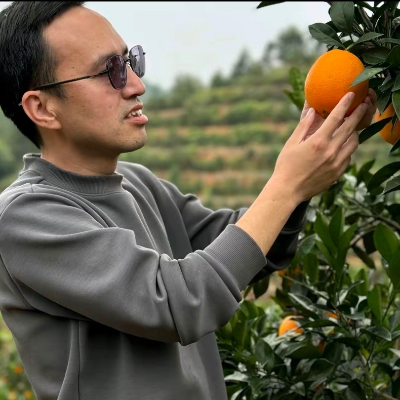 【赣南脐橙】江西赣州信丰山上红土地新鲜脐橙原生态不打腊浓郁香甜