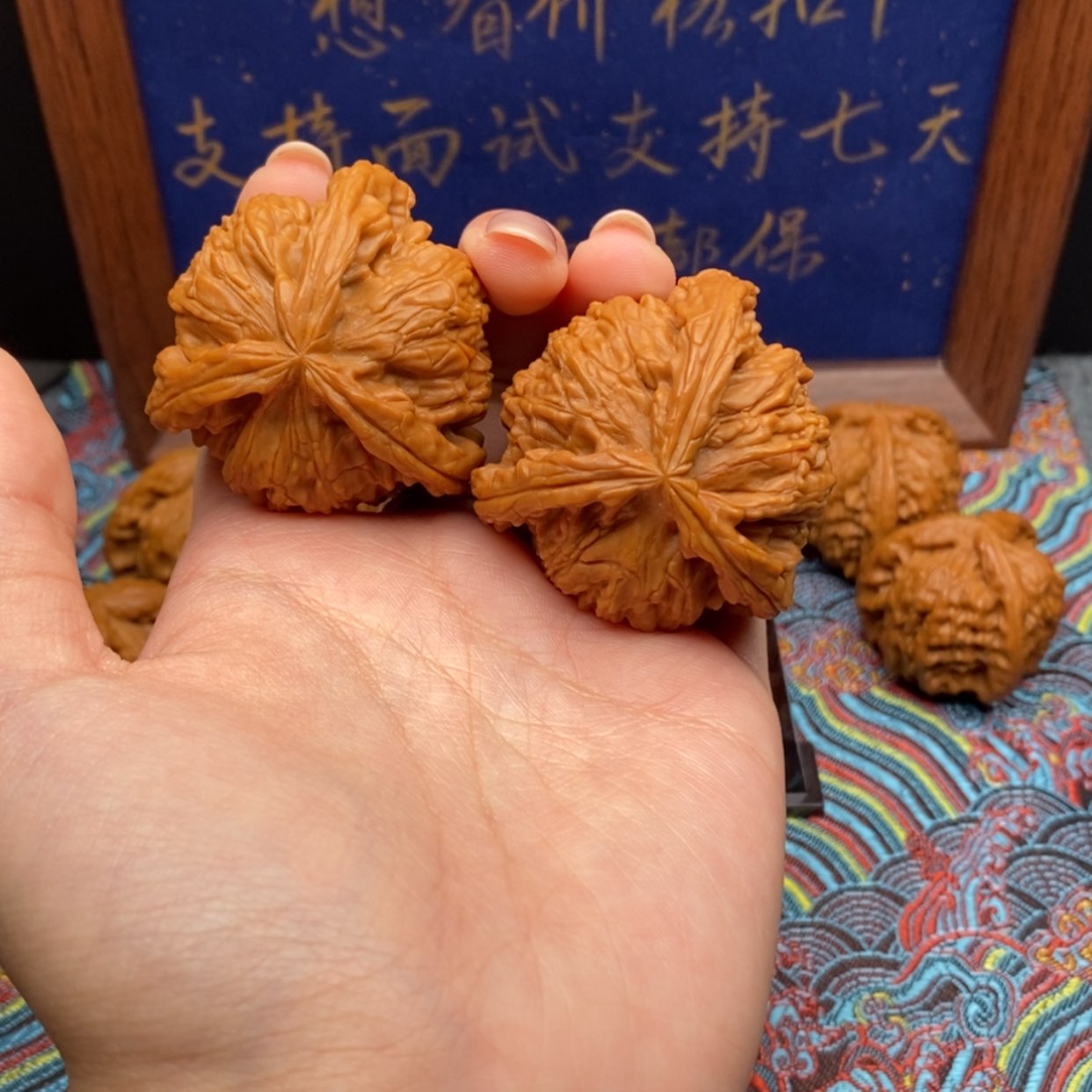 【闪购商品】涛白狮