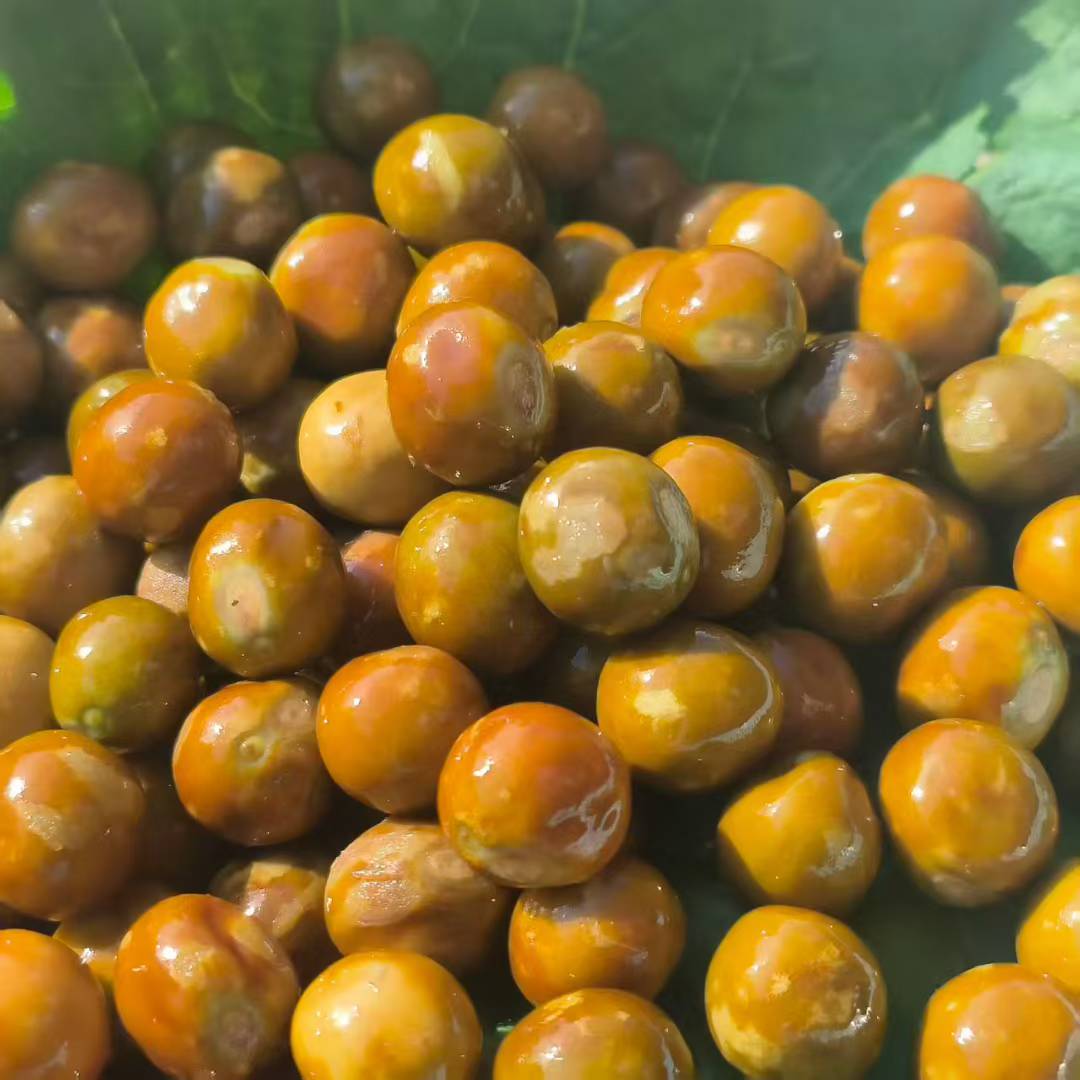 【特大果】安徽霍邱新鲜鸡头果芡实·带壳打磨·不苦不涩·颗粒饱满