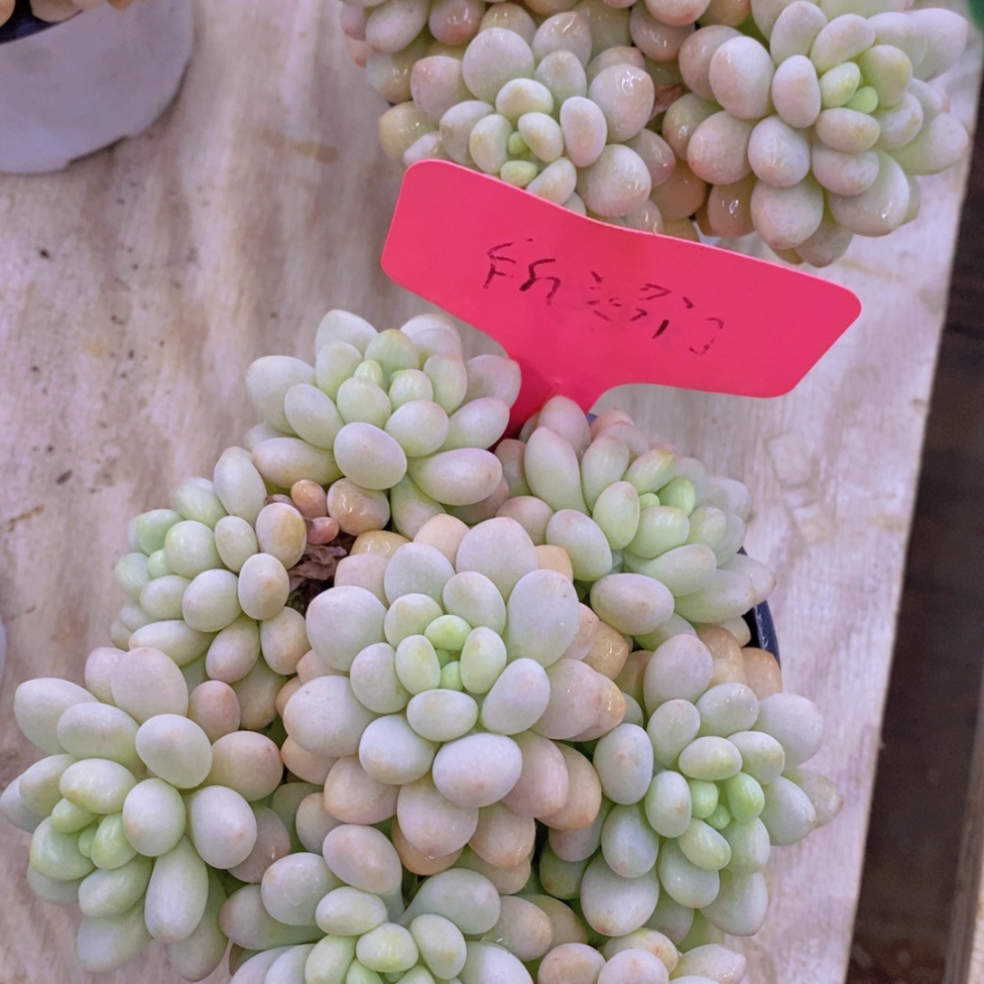 清货专场，满5宋1了